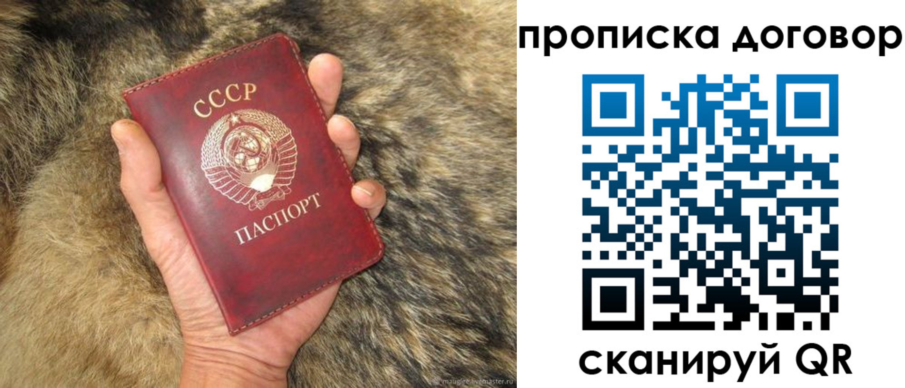 прописка регистрация в Каргате